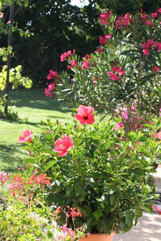 Le Petit Caboulot En Pleine Nature Vaumeilh Exterior foto